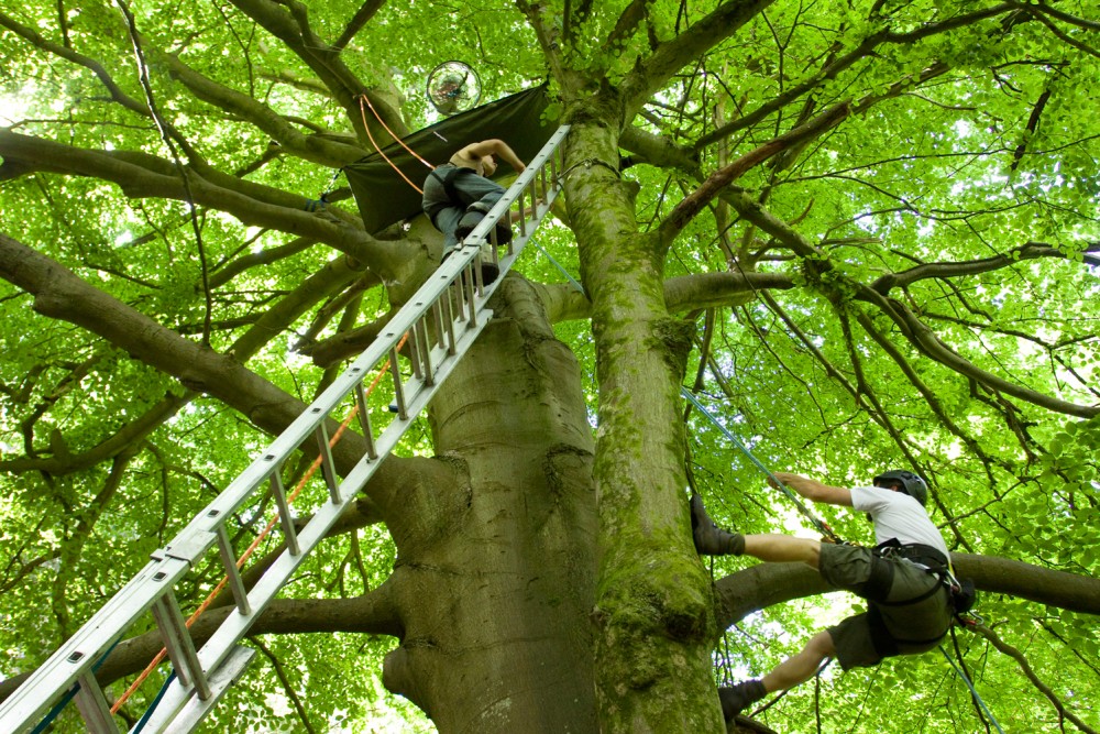 Two men climb up a tree