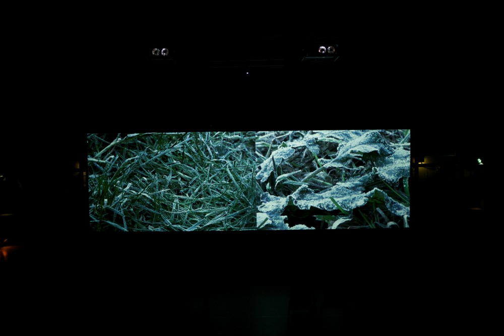 On the screen, there is an image of frost covered grass.